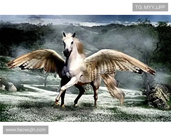 达拉飞马与梦想的碰撞探讨追求与现实的交织与反思