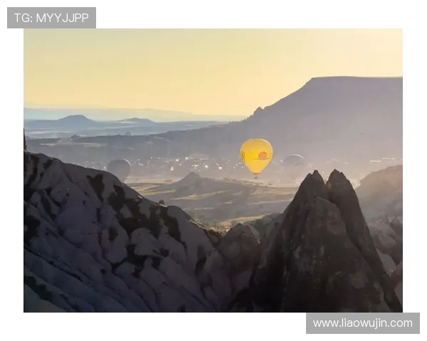 霍伊伦的传奇人生与艺术成就探索：从创作到影响的全景回顾