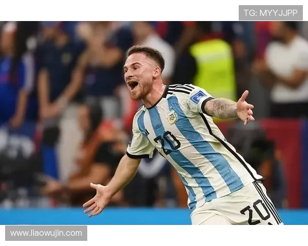 麦卡利斯特的传奇之路：从草根到巅峰的奋斗故事与人生哲学